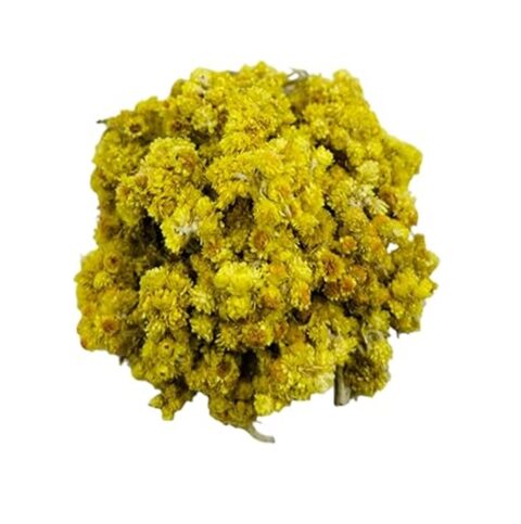 Elicriso fiori - Helichrysum Italicum - 100 gr.