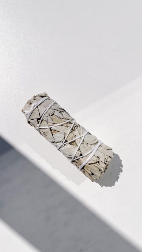 Salvia Sciamanica Bianca