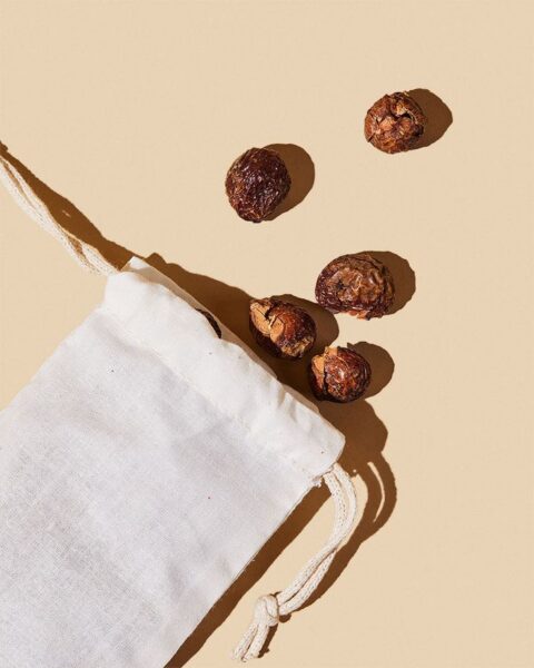 Noci Saponarie
