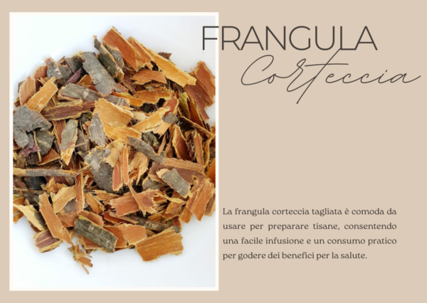 Frangula Corteccia 100 GR. - immagine 2