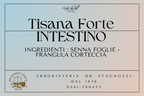 Tisana Forte Intestino